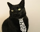 令人振奋的“团结”力量——欧冠中的团队奇迹，欧冠队伍介绍