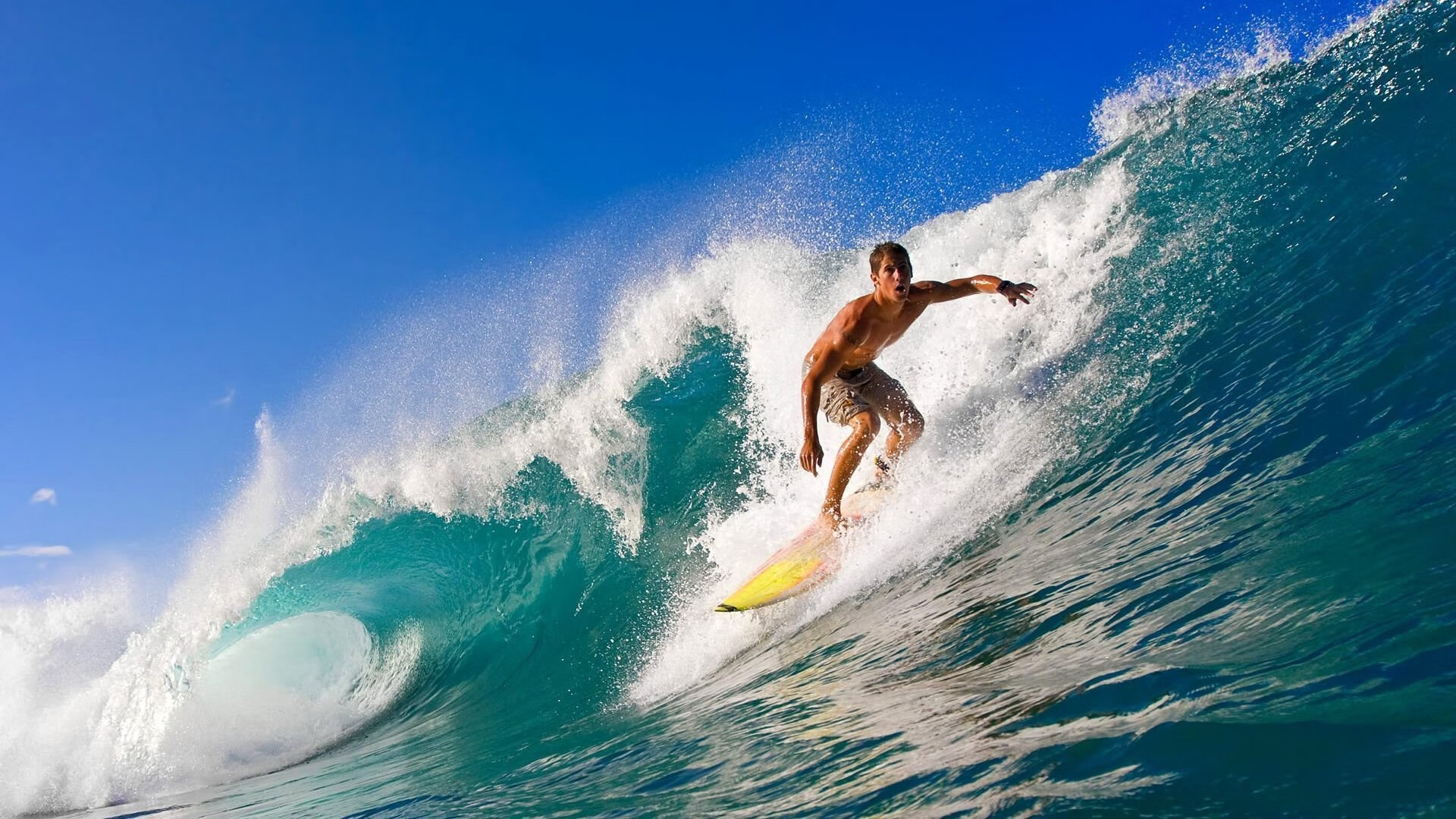 苏格兰橄榄球青训项目吸引大批年轻才俊加入，苏格兰橄榄球队